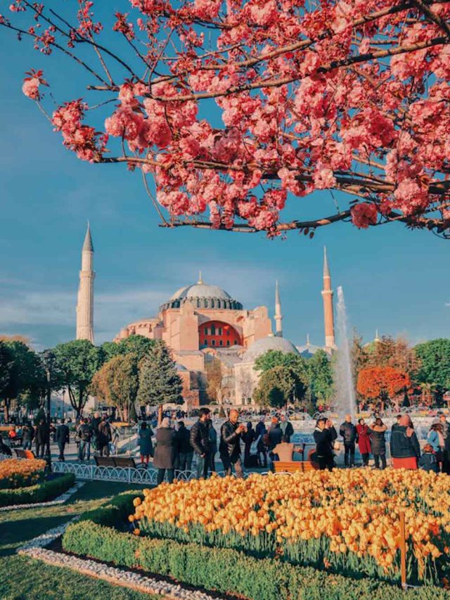 Witness the Enchanting Tulip Festival in Istanbul