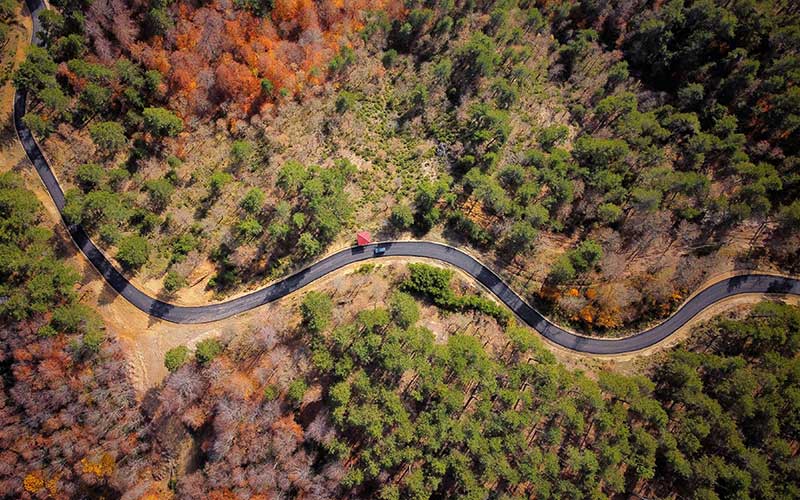 Yenice Forests